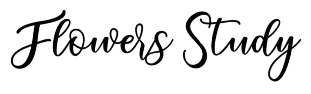 Diseno sin titulo 2025 05 28T154234.595