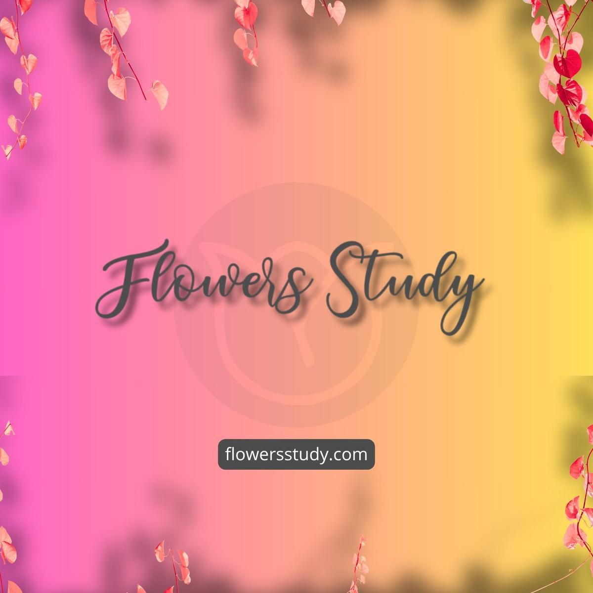 flowersstudy.com (1) flowersstudy.com (1)